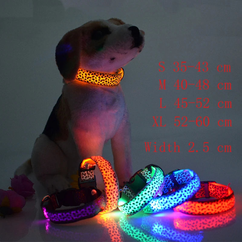 Collier en nylon pour chien avec lumière LED / pendentif LED