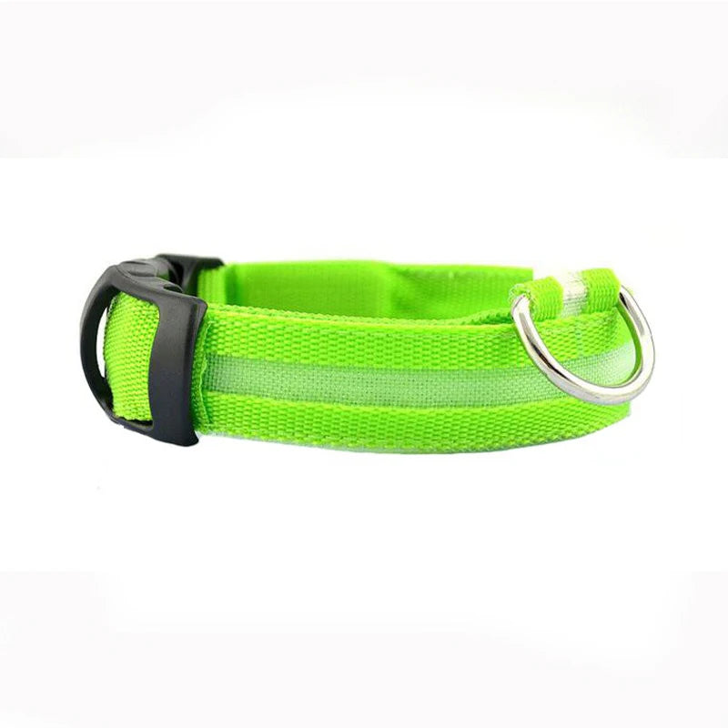 Collier en nylon pour chien avec lumière LED
