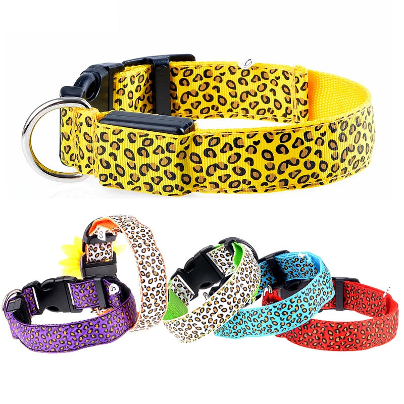 Collier en nylon pour chien avec lumière LED