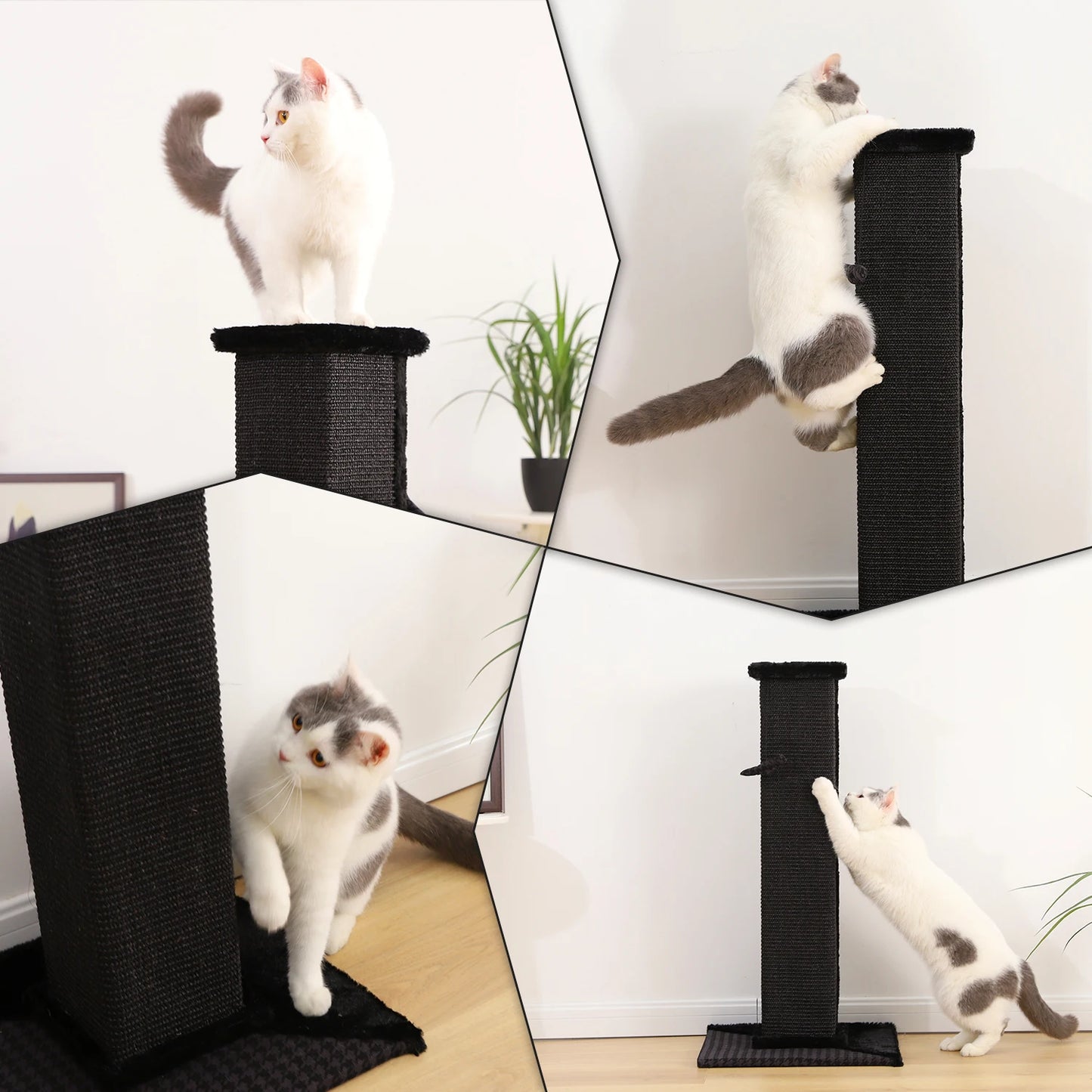 Colonne grattoir luxe design pour chat PAWZRoad