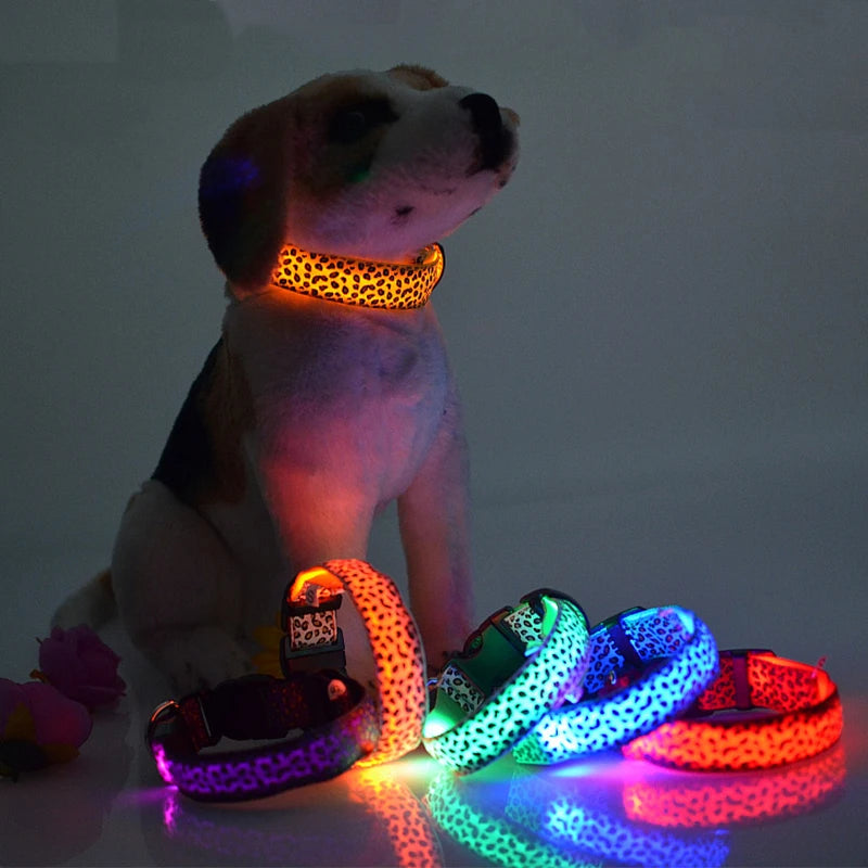 Collier en nylon pour chien avec lumière LED