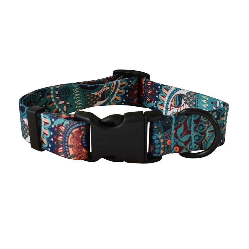 Collier, motif au choix pour chien