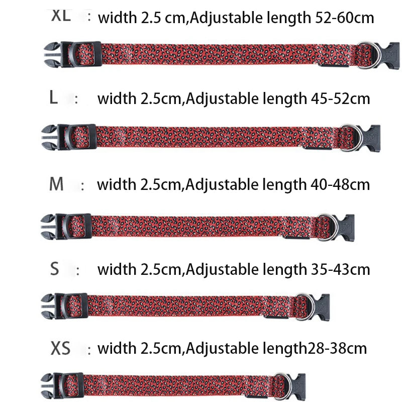 Collier en nylon pour chien avec lumière LED