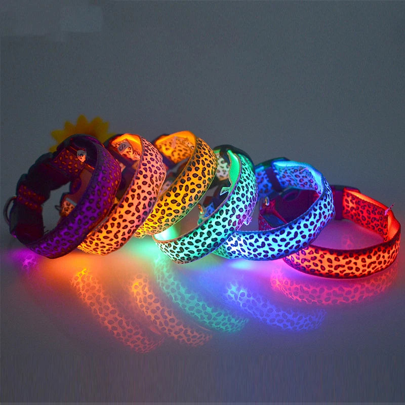 Collier en nylon pour chien avec lumière LED / pendentif LED