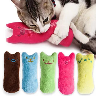 Jouets à mâcher amusant pour chat à l'herbe à chat