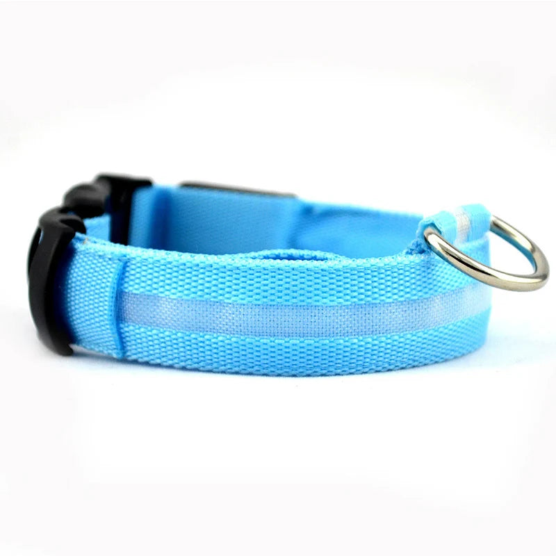 Collier en nylon pour chien avec lumière LED