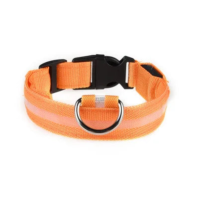 Collier en nylon pour chien avec lumière LED