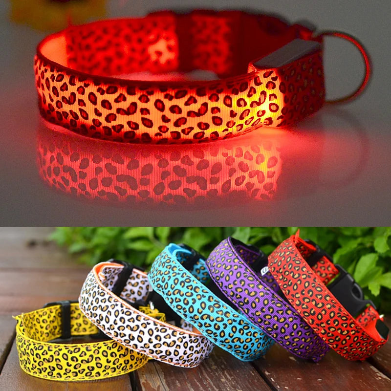 Collier en nylon pour chien avec lumière LED