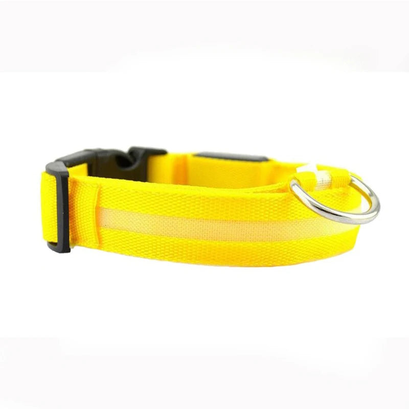 Collier en nylon pour chien avec lumière LED