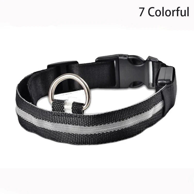Collier en nylon pour chien avec lumière LED