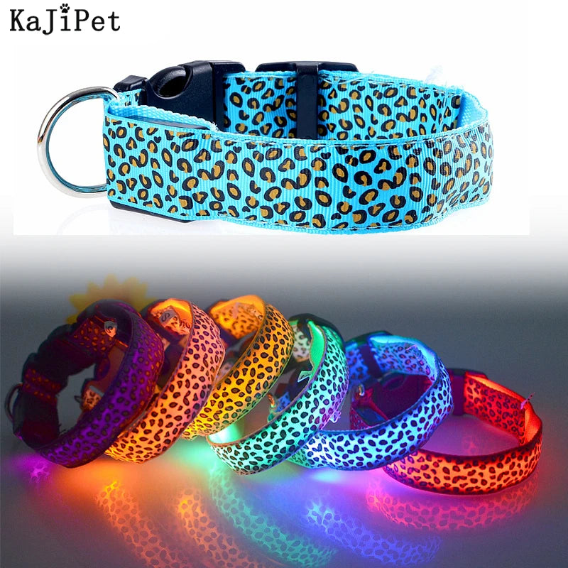 Collier en nylon pour chien avec lumière LED