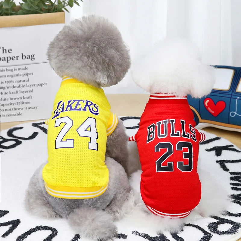 Gilet Basketball US pour chien et chat