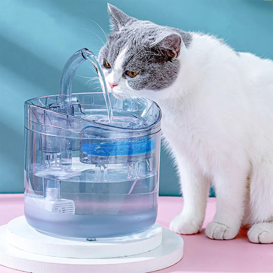 Distributeur d'eau transparent pour chat avec capteur d'automatisation
