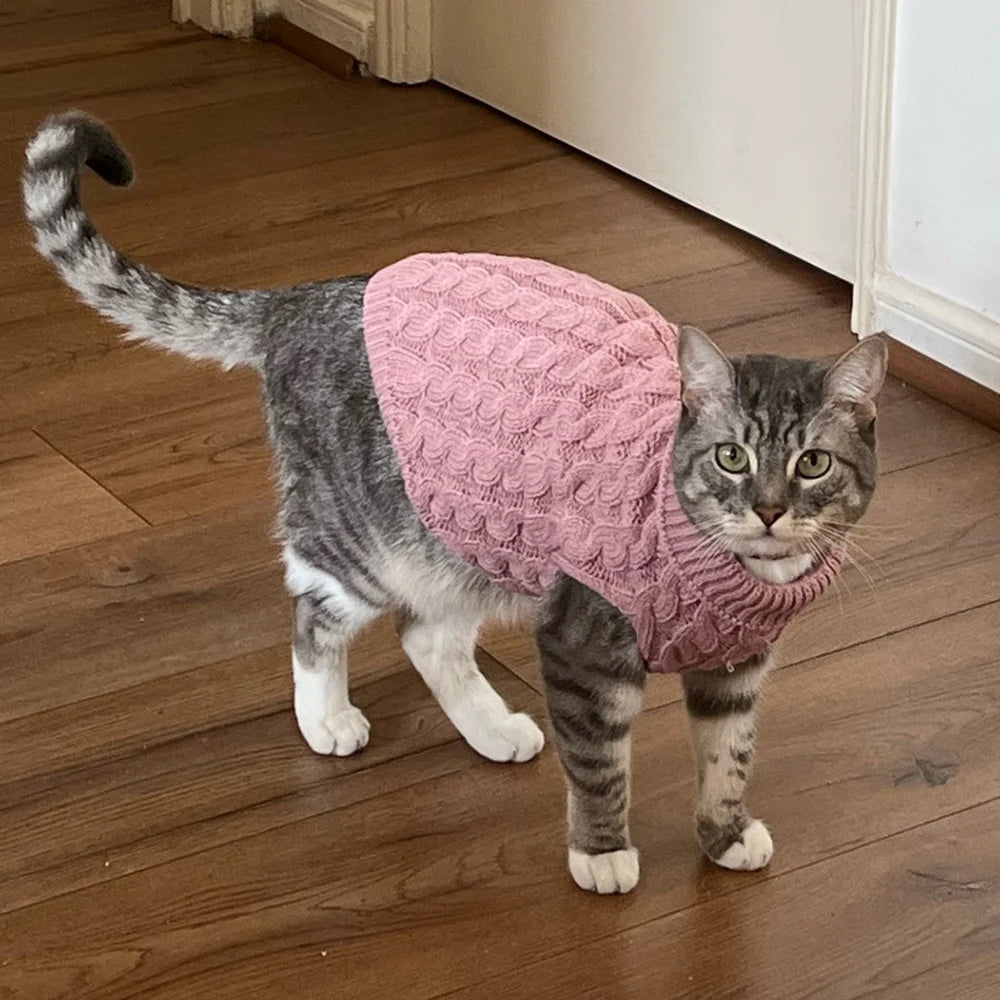 Pull tricoté chaud pour chat