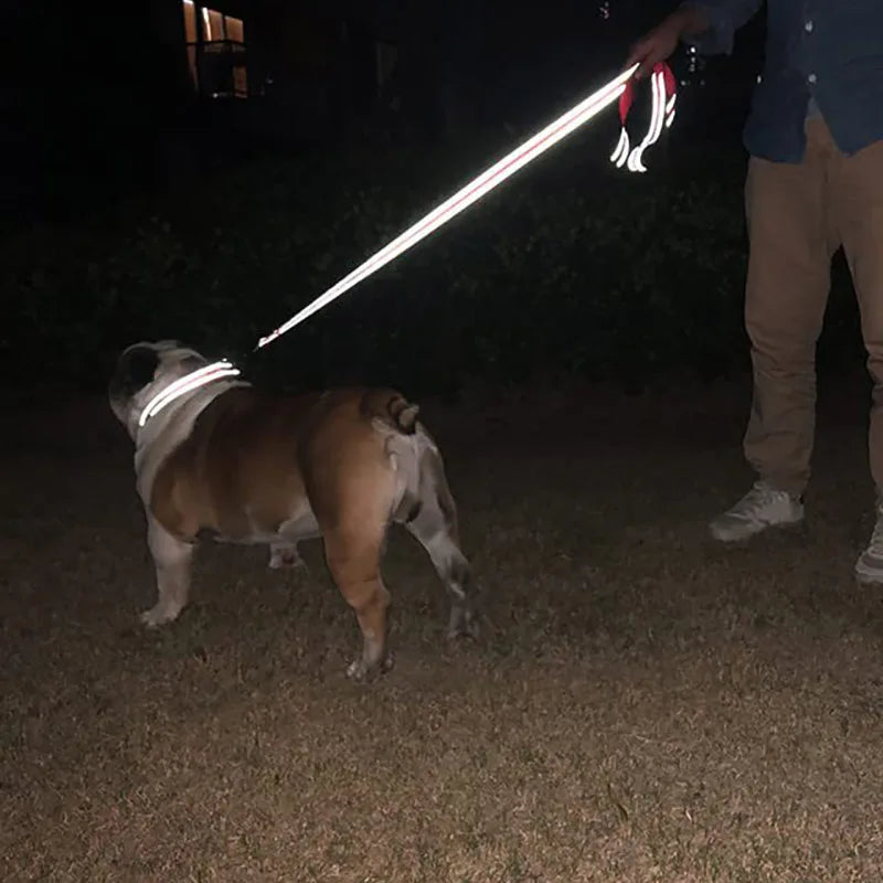 Laisse de promenade au couture réfléchissante pour chien