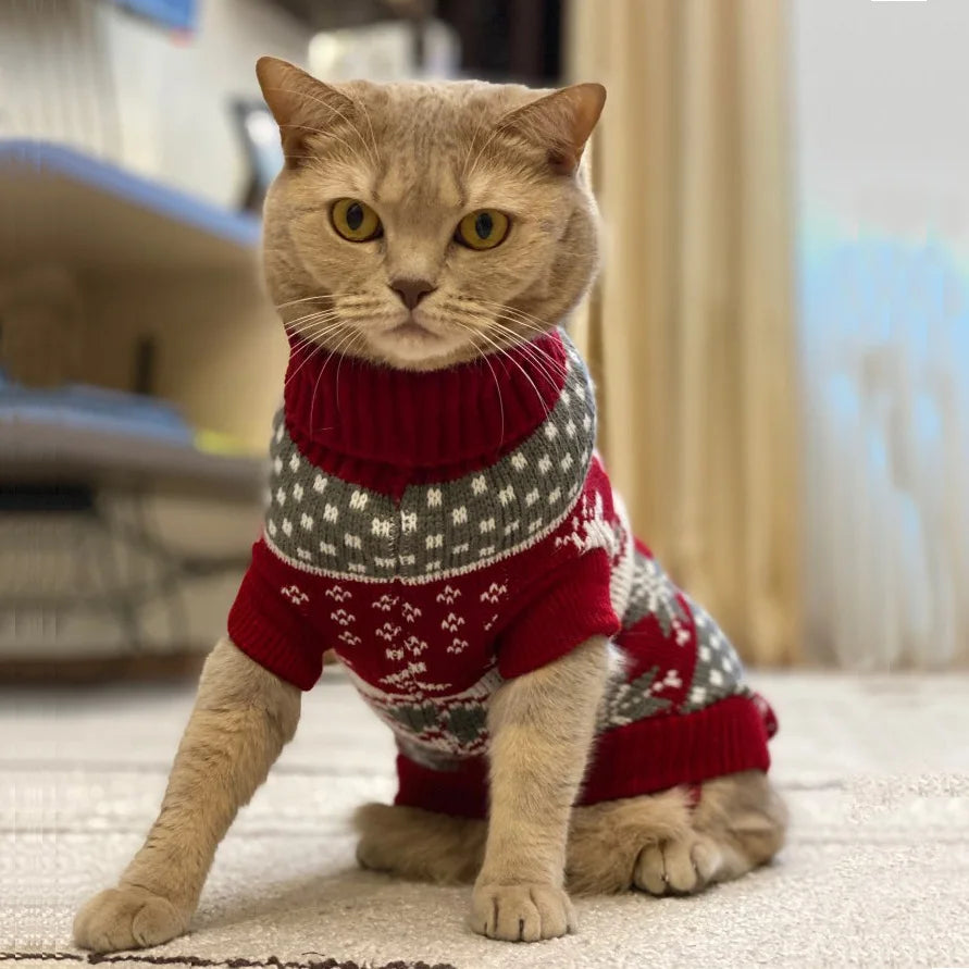 Pull d'hiver mignon à motif pour chat et petit chien