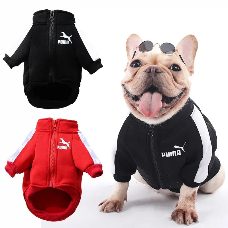 Veste PUMDOG fashion pour chien