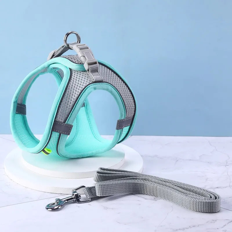 Harnais pour chien gilet avec laisse, sangle de poitrine réglable.