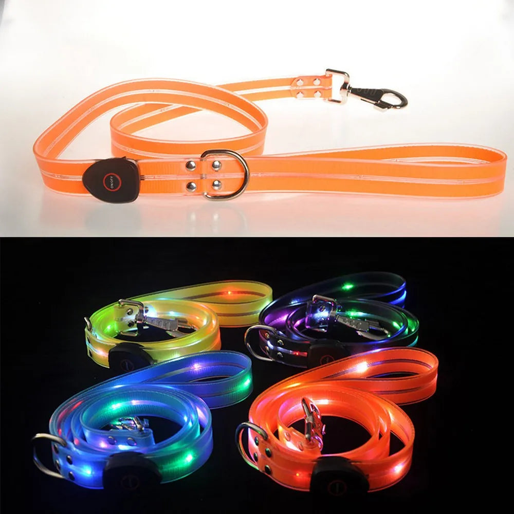 Laisse lumineuse LED pour chien/ ensemble laisse et collier