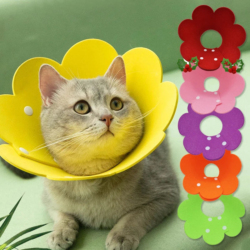 Collier élisabéthain en forme de tournesol pour chat et chien