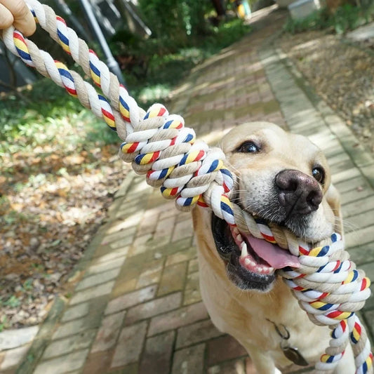 Corde jouet pour chien