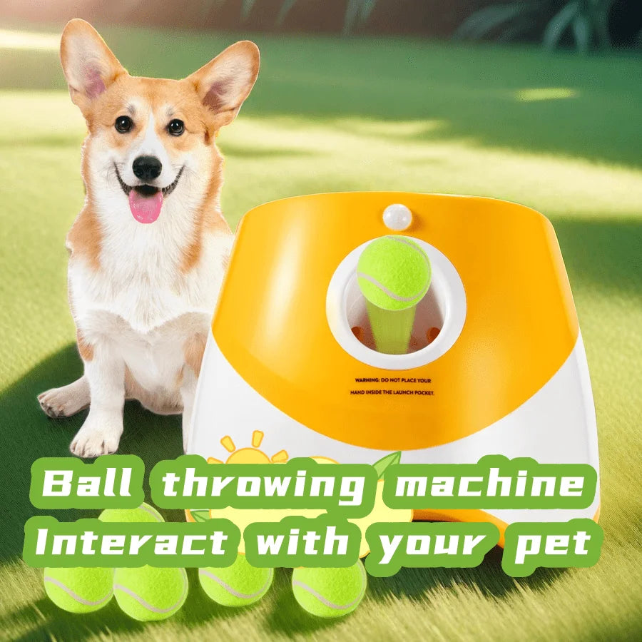 Lanceur de balle automatique pour chien