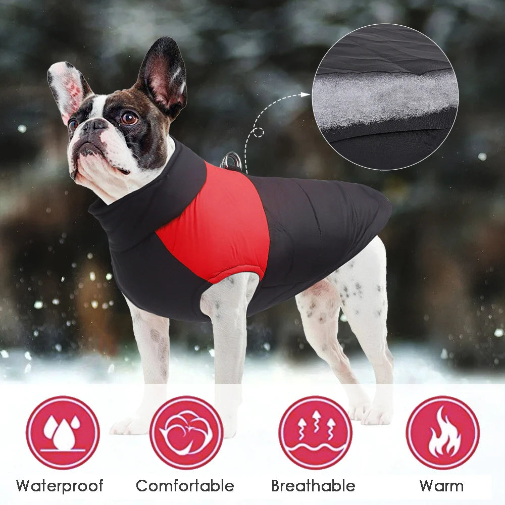 Veste d'hiver chaude et imperméable pour chien