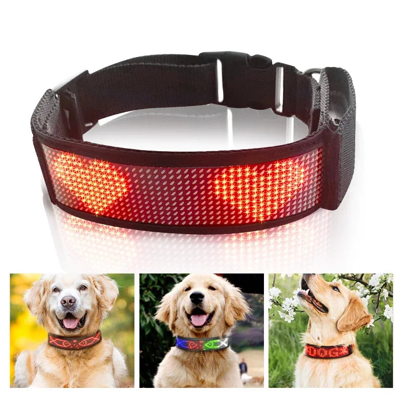 Collier LED lumineux réglable par application Bluetooth pour animaux de compagnie