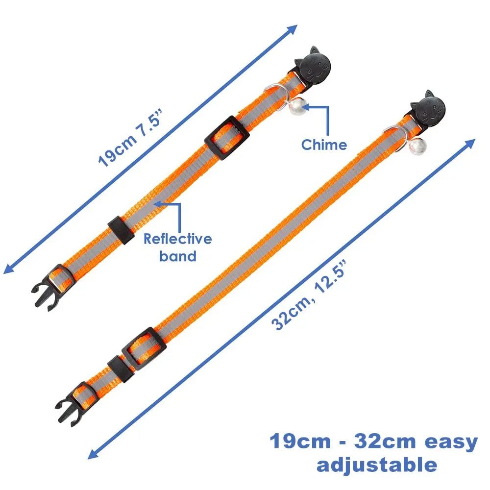 Collier réfléchissant pour chat et chien