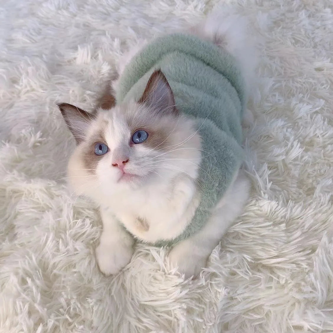 Gilet polaire avec motif cousu pour chat