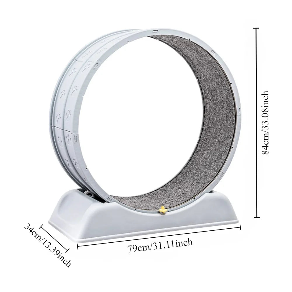 Roue d'exercice pour chat avec griffoir, jouet de course silencieux