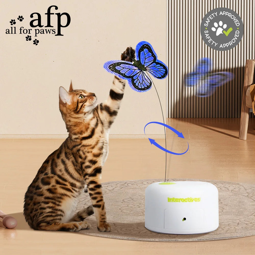 Jouet interactif chasse-papillon pour chat