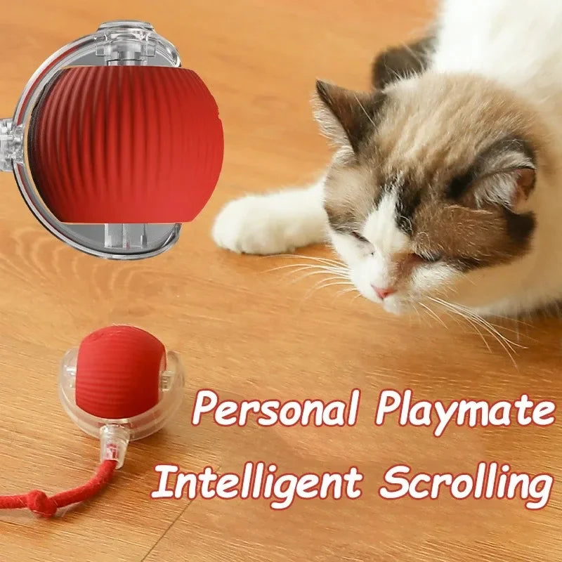 Jouet balle interactif pour chat