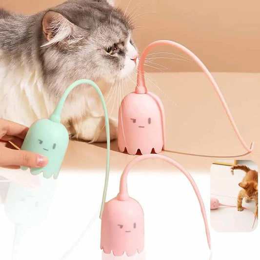 Jouet interactif pour chaton et chat