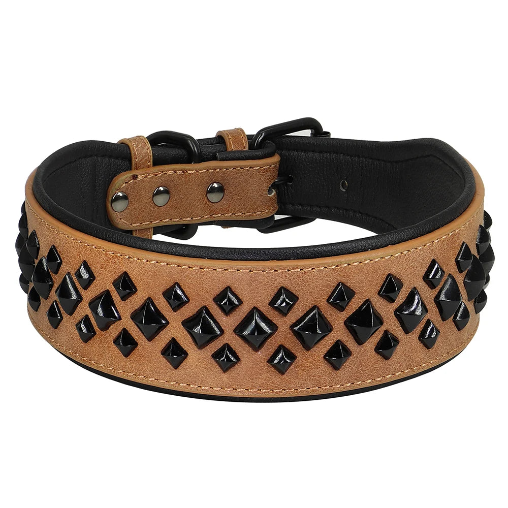 Collier pour chien en cuir avec rivets et clous