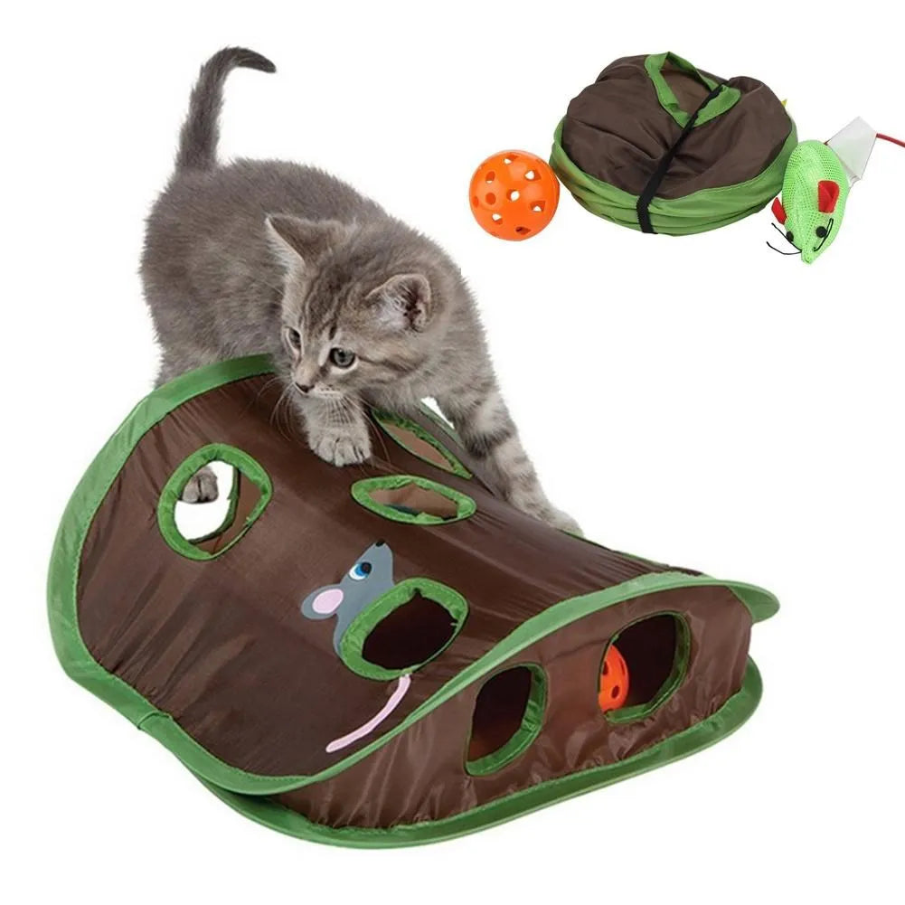 Jeu de cache-cache interactif pour chat