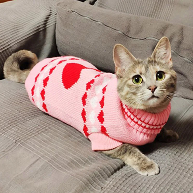 Pull d'hiver mignon à motif pour chat et petit chien