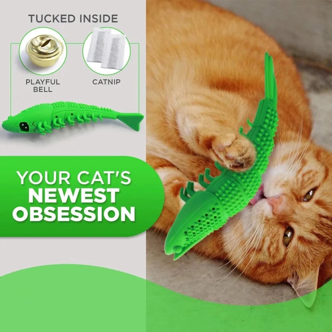 Jouet interactif brosse à dents pour chat