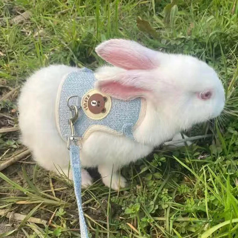 Ensemble de harnais et de laisse pour lapin