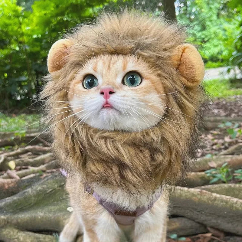 Crinière de lion pour chat et petit chien