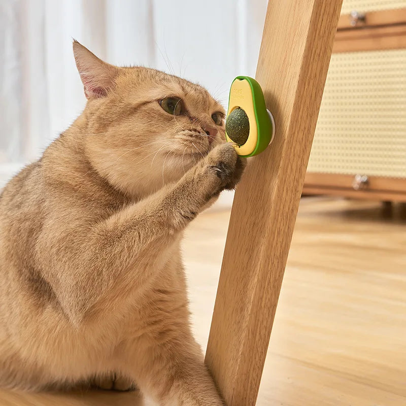 Jouet à l'herbe à chat en forme d'avocat et autres choix