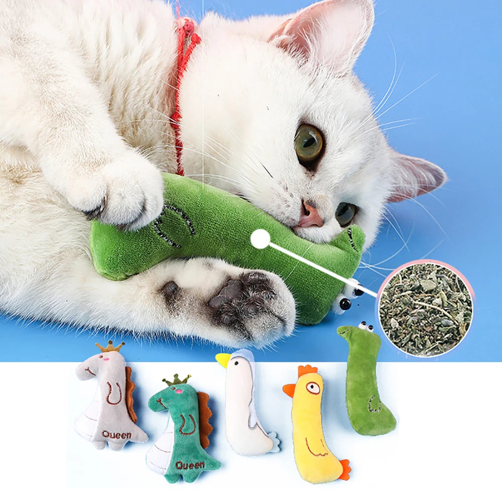 Jouet en peluche pour chat, herbe à chat