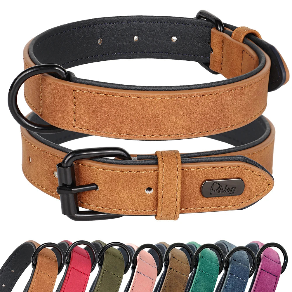 Collier élégant en cuir pour chien