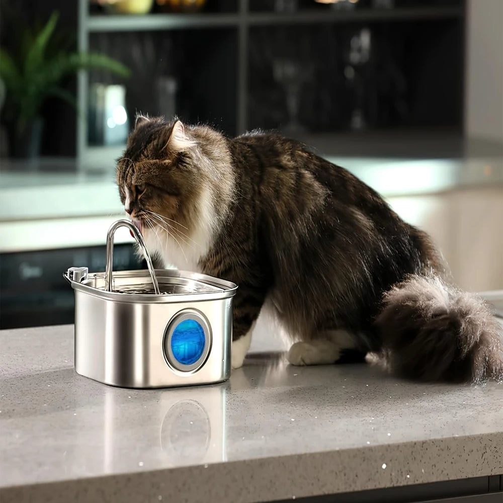 Fontaine à eau en acier inoxydable avec LED pour chien et chat