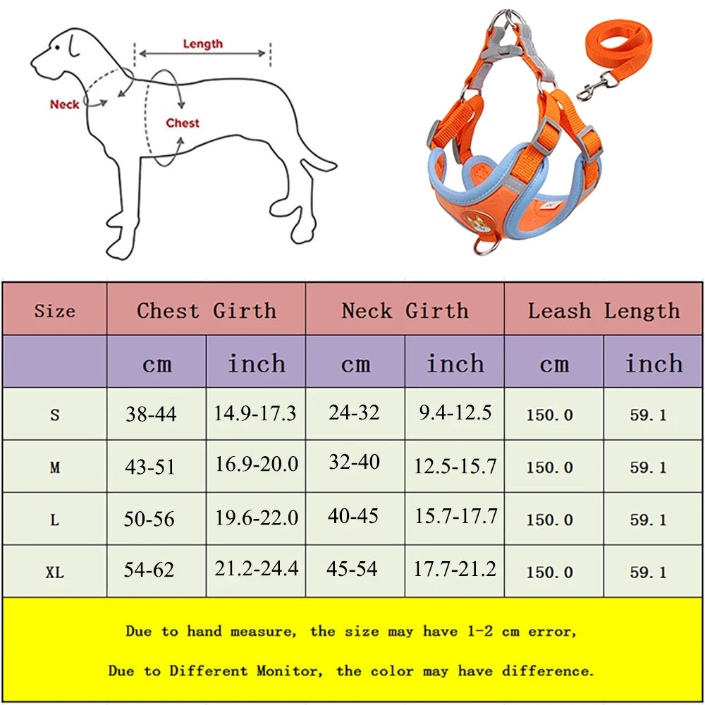 Ensemble harnais et laisse pour petit et moyen chien