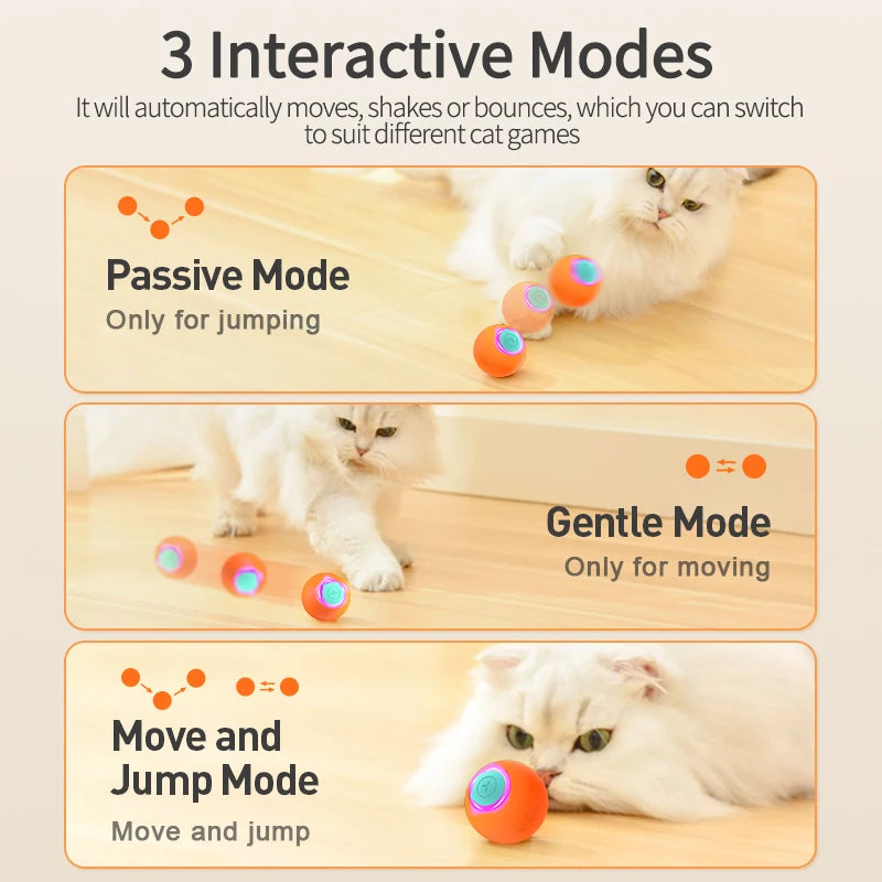 Balle rebondissante ROJECO interactive pour animaux de compagnie