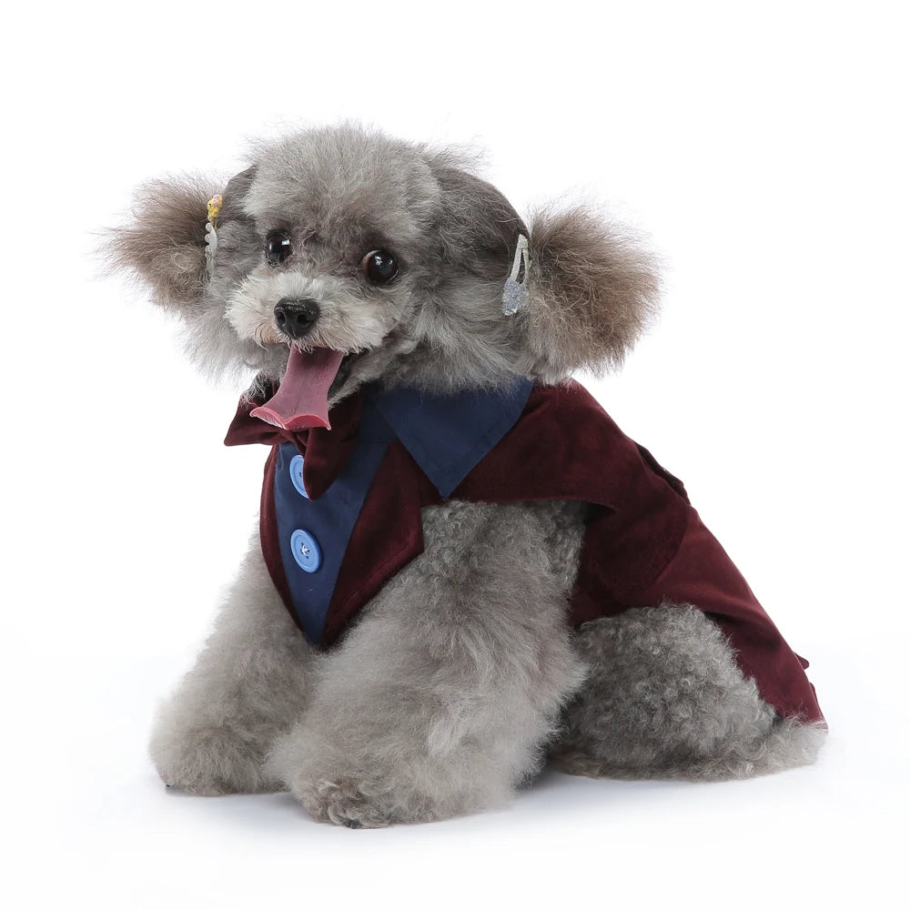 Costume de smoking, déguisement pour chien et chat