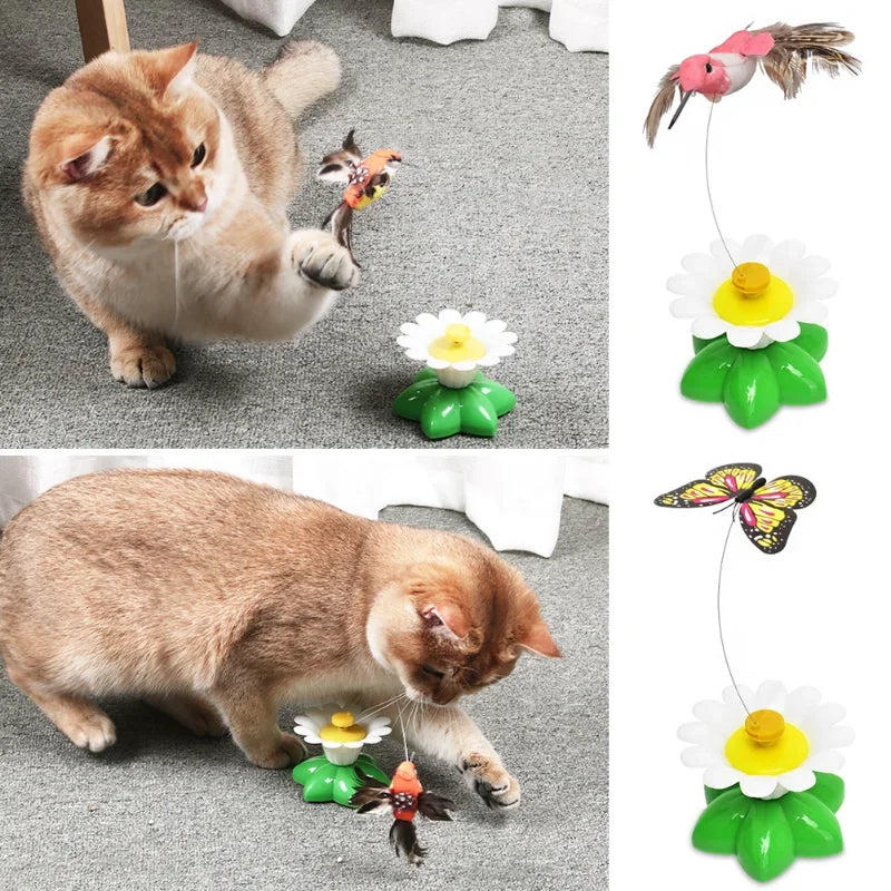 Jouet interactif chasse-papillon pour chat