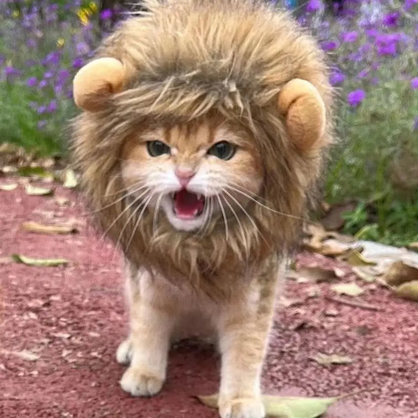 Bonnet capuche perruque de lion amusant pour chat