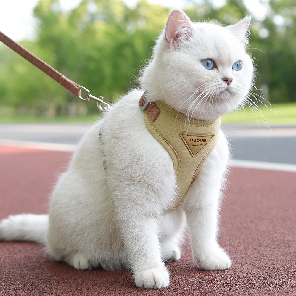 Ensemble harnais et laisse pour animaux de compagnie